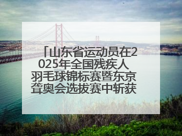 山东省运动员在2025年全国残疾人羽毛球锦标赛暨东京聋奥会选拔赛中斩获3银1铜
