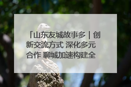 山东友城故事多｜创新交流方式 深化多元合作 聊城加速构建全球友城新格局