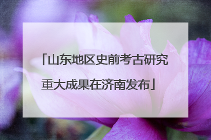 山东地区史前考古研究重大成果在济南发布