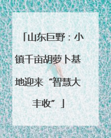 山东巨野：小镇千亩胡萝卜基地迎来“智慧大丰收”