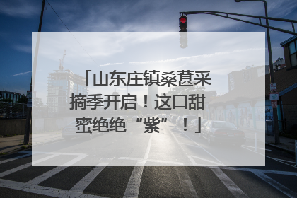 山东庄镇桑葚采摘季开启！这口甜蜜绝绝“紫”！