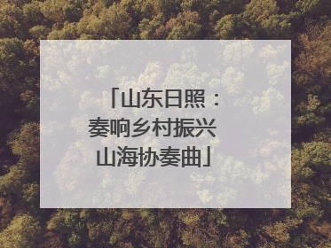 山东日照：奏响乡村振兴山海协奏曲