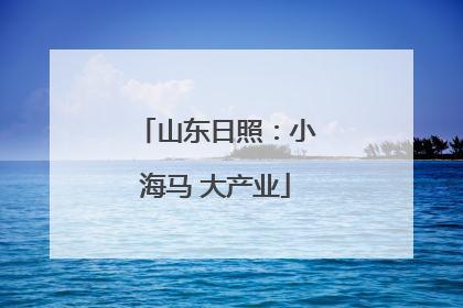 山东日照：小海马 大产业