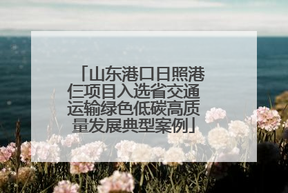 山东港口日照港仨项目入选省交通运输绿色低碳高质量发展典型案例