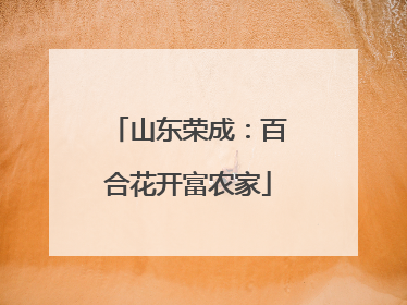 山东荣成：百合花开富农家