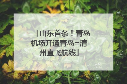 山东首条！青岛机场开通青岛=清州直飞航线