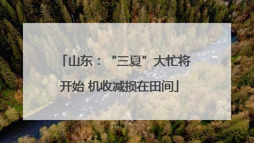 山东：“三夏”大忙将开始 机收减损在田间