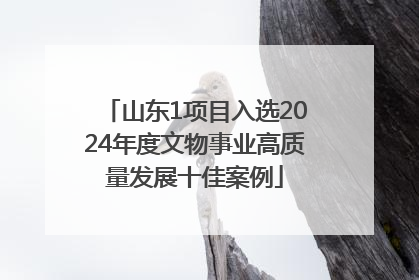 山东1项目入选2024年度文物事业高质量发展十佳案例