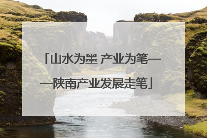 山水为墨 产业为笔——陕南产业发展走笔