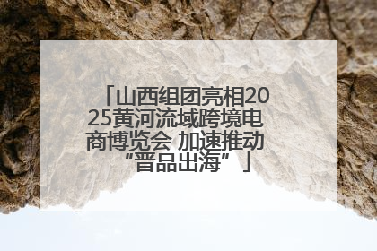山西组团亮相2025黄河流域跨境电商博览会 加速推动“晋品出海”
