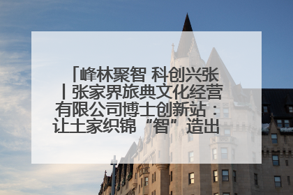 峰林聚智 科创兴张丨张家界旅典文化经营有限公司博士创新站：让土家织锦“智”造出非遗新传奇