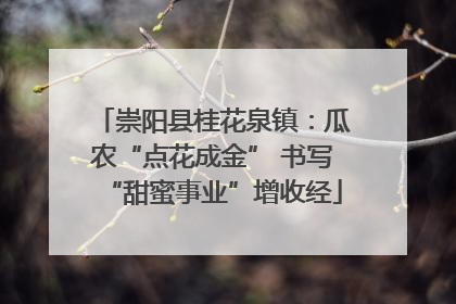 崇阳县桂花泉镇：瓜农“点花成金” 书写“甜蜜事业”增收经