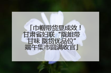 巾帼带货显成效！甘肃省妇联“陇姐带甘味 陇货优品位”端午集市圆满收官