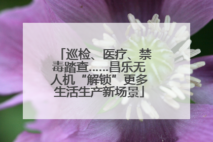 巡检、医疗、禁毒踏查……昌乐无人机“解锁”更多生活生产新场景