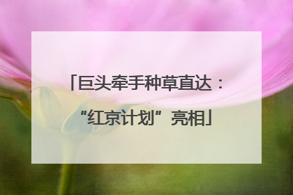 巨头牵手种草直达：“红京计划”亮相