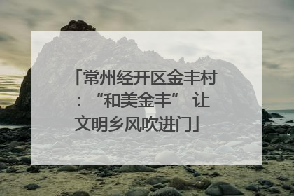 常州经开区金丰村：“和美金丰” 让文明乡风吹进门