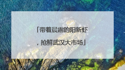 带着晨露的阳新虾，抢鲜武汉大市场