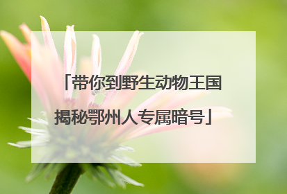 带你到野生动物王国揭秘鄂州人专属暗号