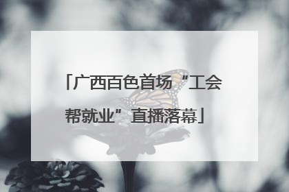 广西百色首场“工会帮就业”直播落幕