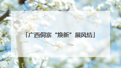 广西侗寨“焕新”展风情