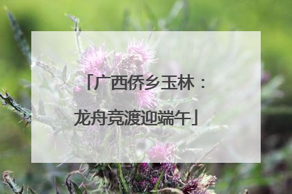 广西侨乡玉林：龙舟竞渡迎端午