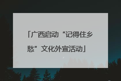 广西启动“记得住乡愁”文化外宣活动