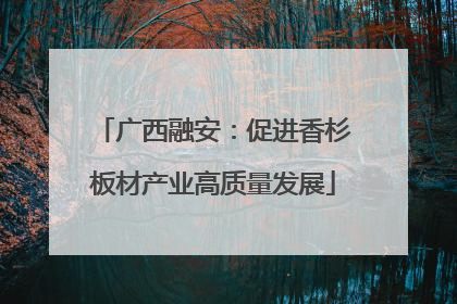 广西融安：促进香杉板材产业高质量发展
