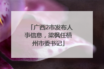 广西2市发布人事信息，梁枫任横州市委书记
