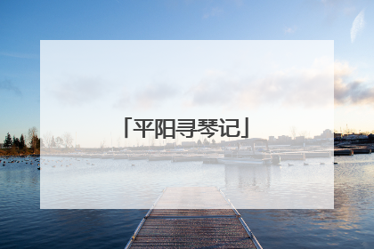 平阳寻琴记