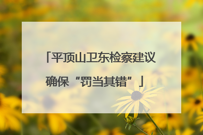平顶山卫东检察建议确保“罚当其错”
