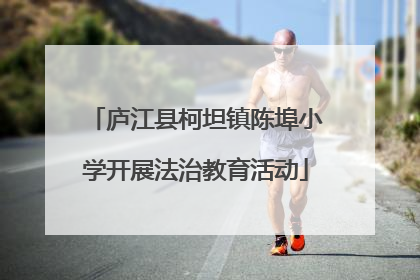庐江县柯坦镇陈埠小学开展法治教育活动