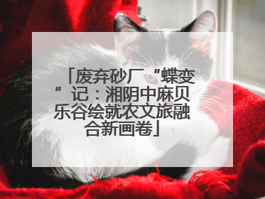 废弃砂厂“蝶变”记：湘阴中麻贝乐谷绘就农文旅融合新画卷