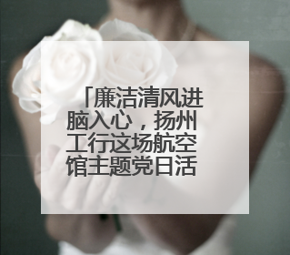 廉洁清风进脑入心，扬州工行这场航空馆主题党日活动扎实走心