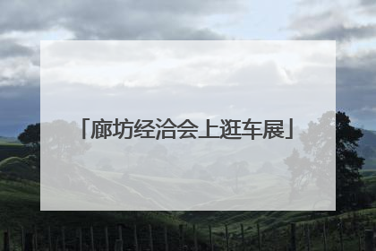 廊坊经洽会上逛车展