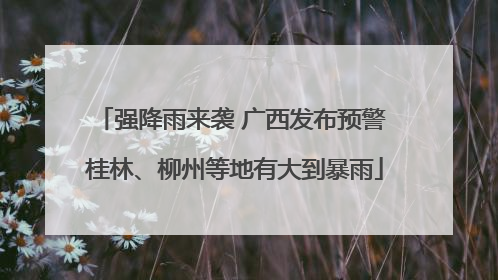 强降雨来袭 广西发布预警 桂林、柳州等地有大到暴雨