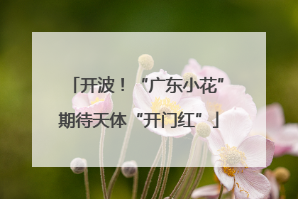 开波！“广东小花”期待天体“开门红”
