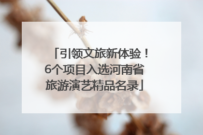 引领文旅新体验！6个项目入选河南省旅游演艺精品名录