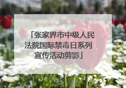张家界市中级人民法院国际禁毒日系列宣传活动剪影