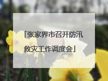 张家界市召开防汛救灾工作调度会