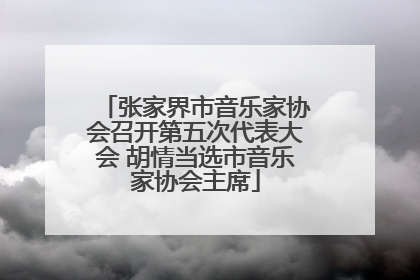 张家界市音乐家协会召开第五次代表大会 胡情当选市音乐家协会主席