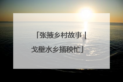 张掖乡村故事｜戈壁水乡插秧忙