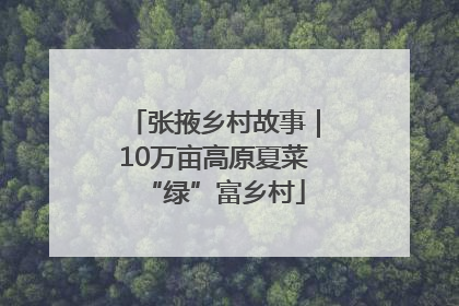 张掖乡村故事｜10万亩高原夏菜“绿”富乡村