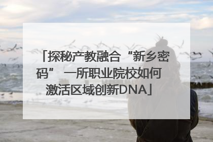 探秘产教融合“新乡密码” 一所职业院校如何激活区域创新DNA