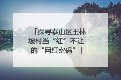探寻泰山区王林坡村当“红”不让的“网红密码”