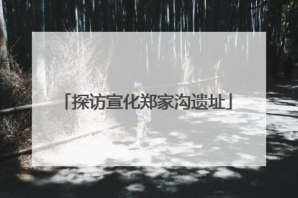 探访宣化郑家沟遗址