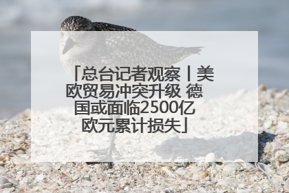 总台记者观察丨美欧贸易冲突升级 德国或面临2500亿欧元累计损失
