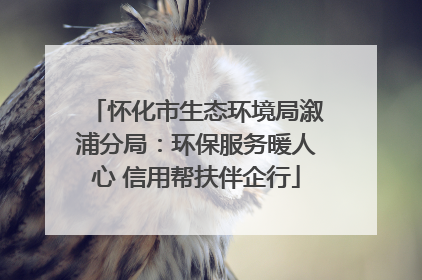 怀化市生态环境局溆浦分局：环保服务暖人心 信用帮扶伴企行