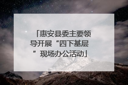 惠安县委主要领导开展“四下基层”现场办公活动