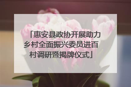 惠安县政协开展助力乡村全面振兴委员进百村调研暨揭牌仪式