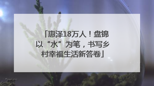 惠泽18万人！盘锦以“水”为笔，书写乡村幸福生活新答卷